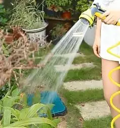 Watering flowers, sprinkler, water pipe, watering vegetables for household use
Watering flowers, sprinkler, water pipe, watering vegetables for household use