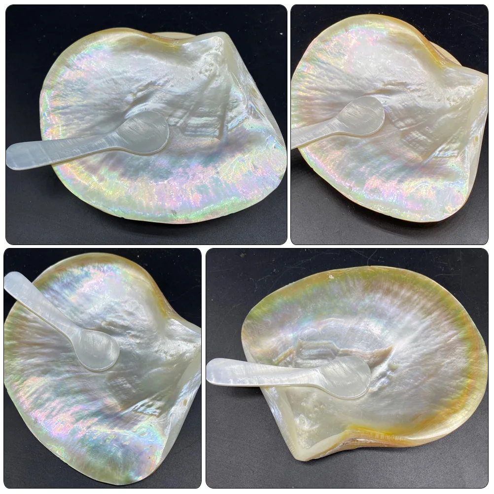 Shell Dining Plate Spoon Set Natural Seashell Dessert Plates Food Serving Appetizer Platter Cake Pan Home Kitchen Multipurpose
Shell Dining Plate Spoon Set Natural Seashell Dessert Plates Food Serving Appetizer Platter Cake Pan Home Kitchen Multipurpose