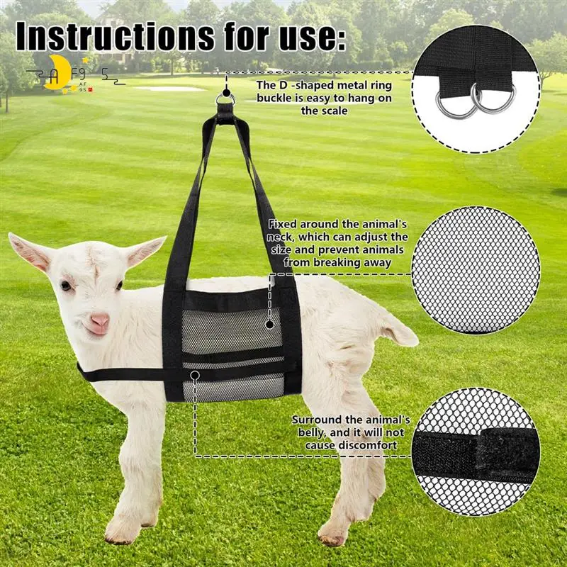 AF95-2 шт. слинг для теленка для взвешивания животных, слинг для взвешивания мелких животных, слинг для липка, подвесной слинг для луски
AF95-2 шт. слинг для теленка для взвешивания животных, слинг для взвешивания мелких животных, слинг для липка, подвесной слинг для луски