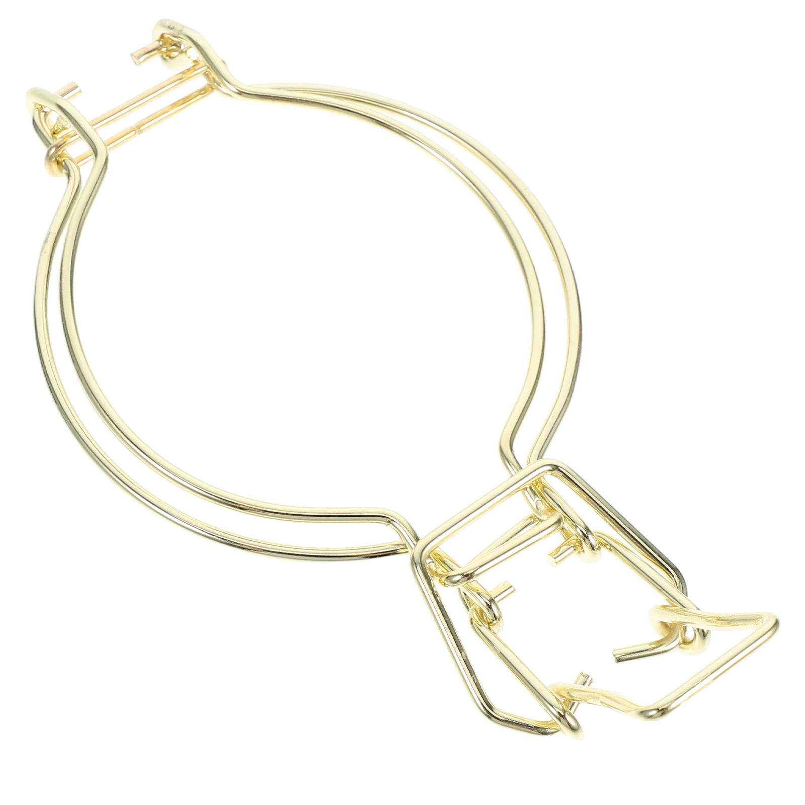 3 PCS Storage Tank Buckle Mason Jar Fastening Golden Stainless Steel Locking Wire for Jars
3 PCS Storage Tank Buckle Mason Jar Fastening Golden Stainless Steel Locking Wire for Jars