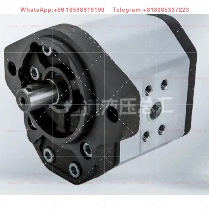 GHP3A-D-30 GHP3A-D-33 GHP3A-D-40 Gear Pump Industrial Hydraulic Oil Pump Mechanical Accessories
GHP3A-D-30 GHP3A-D-33 GHP3A-D-40 Gear Pump Industrial Hydraulic Oil Pump Mechanical Accessories