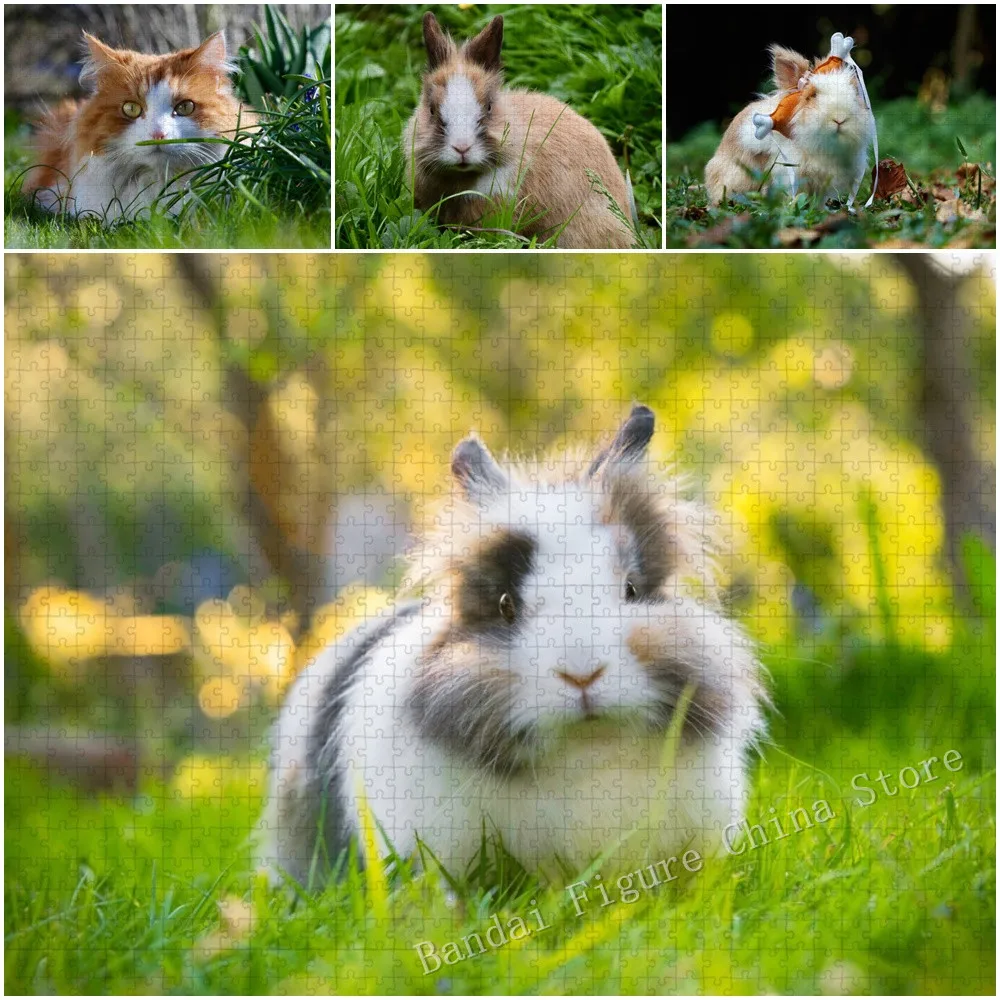 Милый домашний кролик, 35/300/500/1000 шт., головоломка, кошка, животные, пейзажный принт, головоломка, семейные развивающие детские игры, игрушки, подарки
Милый домашний кролик, 35/300/500/1000 шт., головоломка, кошка, животные, пейзажный принт, головоломка, семейные развивающие детские игры, игрушки, подарки