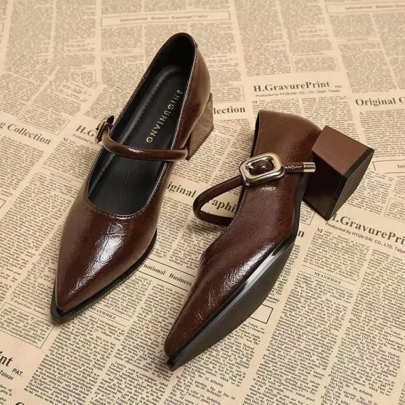 2025 Premium Leather Mary Janes - French Vintage Pointed Toe Pumps Chunky Heel Single Strap Shoes Buckle Decor
2025 Premium Leather Mary Janes - French Vintage Pointed Toe Pumps Chunky Heel Single Strap Shoes Buckle Decor