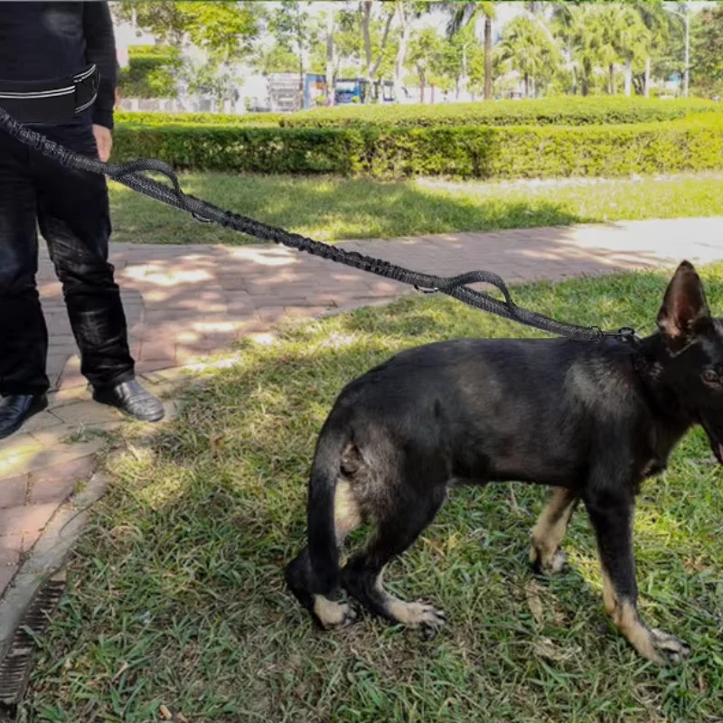Hands Free Dog Leash for Running Walking Reflective Leash with Waist Bag Retractable Elastic Belt Traction Rope Pet Products
Hands Free Dog Leash for Running Walking Reflective Leash with Waist Bag Retractable Elastic Belt Traction Rope Pet Products