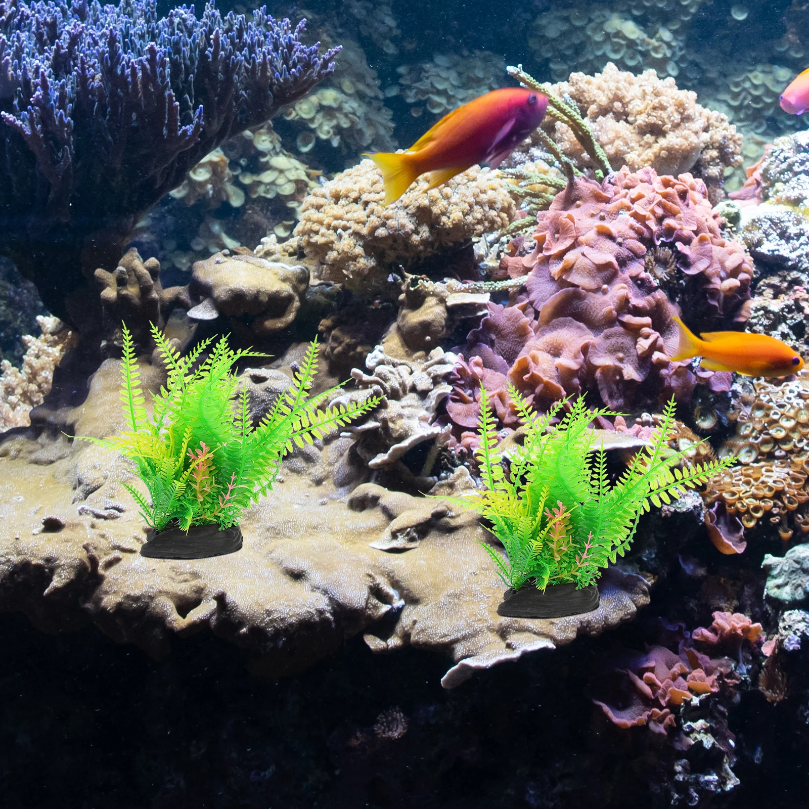 2pcs Artificial Plants for Aquarium Decorative Plastic Fish Tank Plants Realistic Water AccessoriesAquarium Plant Decors Pet
2pcs Artificial Plants for Aquarium Decorative Plastic Fish Tank Plants Realistic Water AccessoriesAquarium Plant Decors Pet