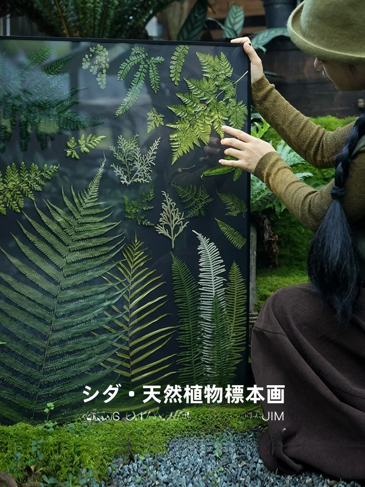 Nordic Living Room Handmade Japanese Sle Wall Art Decorative Painting up Bla Baund Fern Plant Specimen Seeds Crea...
Nordic Living Room Handmade Japanese Sle Wall Art Decorative Painting up Bla Baund Fern Plant Specimen Seeds Crea...