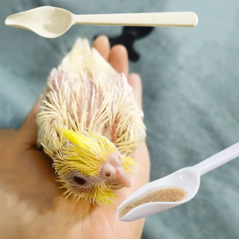 Plastic Bird Milk Powder Feeder Long Handle Thickened Bird Feeding Spoon Heat-resisting Chicks Medicine Spoon
Plastic Bird Milk Powder Feeder Long Handle Thickened Bird Feeding Spoon Heat-resisting Chicks Medicine Spoon