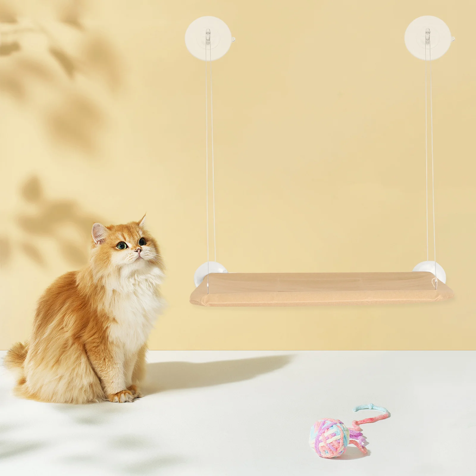 8pcs Cat Window Bed Suction Cups Replacement Transparent Strong Suction Power For Glass Wall Mount Cat Perch Hanging Space 
8pcs Cat Window Bed Suction Cups Replacement Transparent Strong Suction Power For Glass Wall Mount Cat Perch Hanging Space