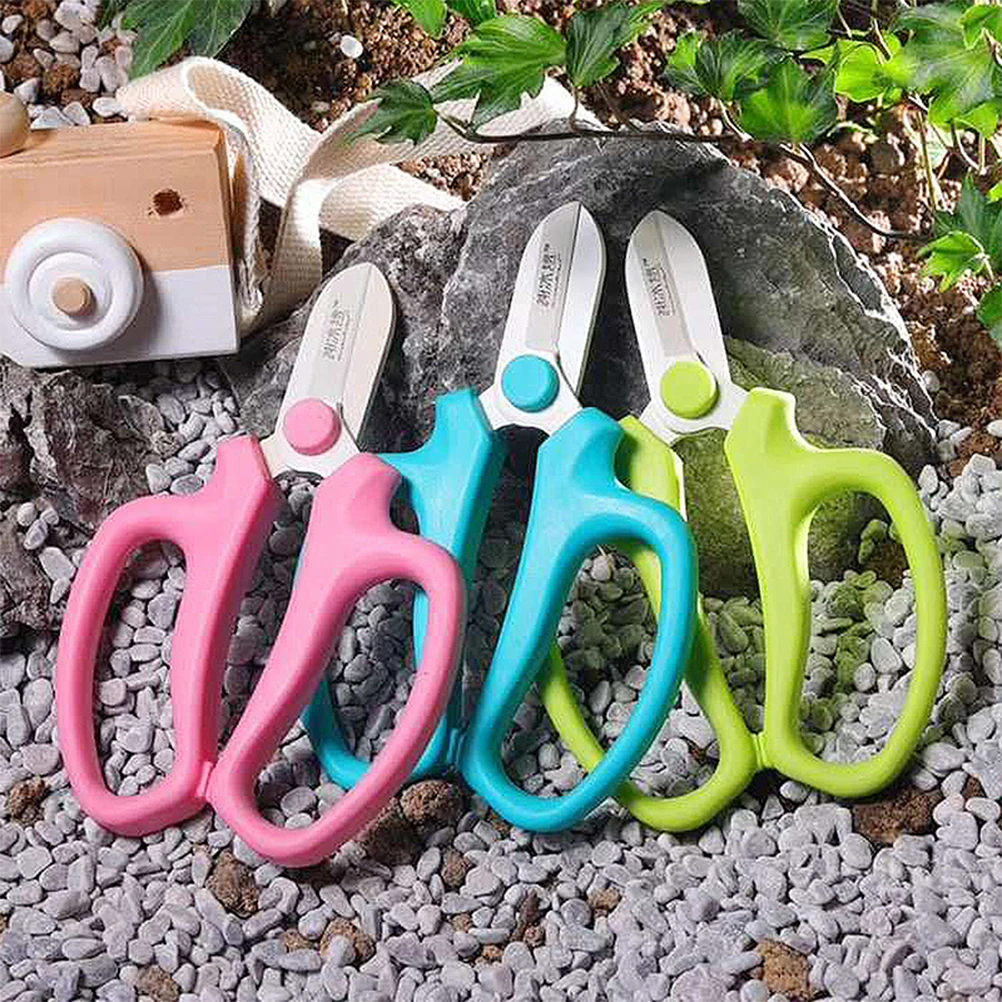 1pc Multifunctional Kitchen Shears Blue Garden Gardening Pruning Trimmer Ergonomic Handle Strong Bite Force Durable for Paper
1pc Multifunctional Kitchen Shears Blue Garden Gardening Pruning Trimmer Ergonomic Handle Strong Bite Force Durable for Paper