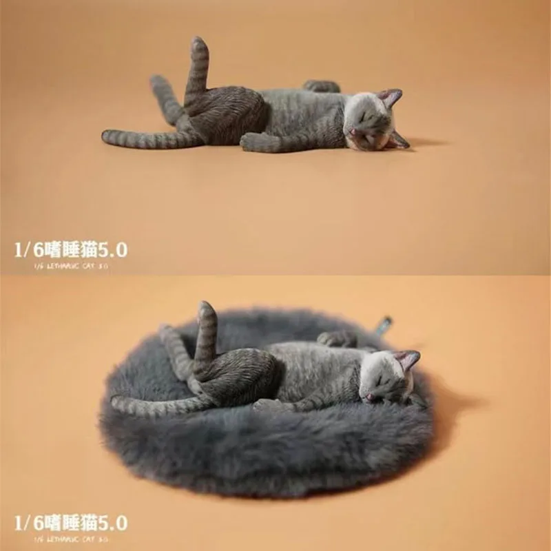 Женская модель JXK152 в масштабе 1/6 с сонным котом, модель 5,0 с ковриком, подходит для 12 дюймовых солдат, экшн-фигурка, украшение для сцены
Женская модель JXK152 в масштабе 1/6 с сонным котом, модель 5,0 с ковриком, подходит для 12 дюймовых солдат, экшн-фигурка, украшение для сцены