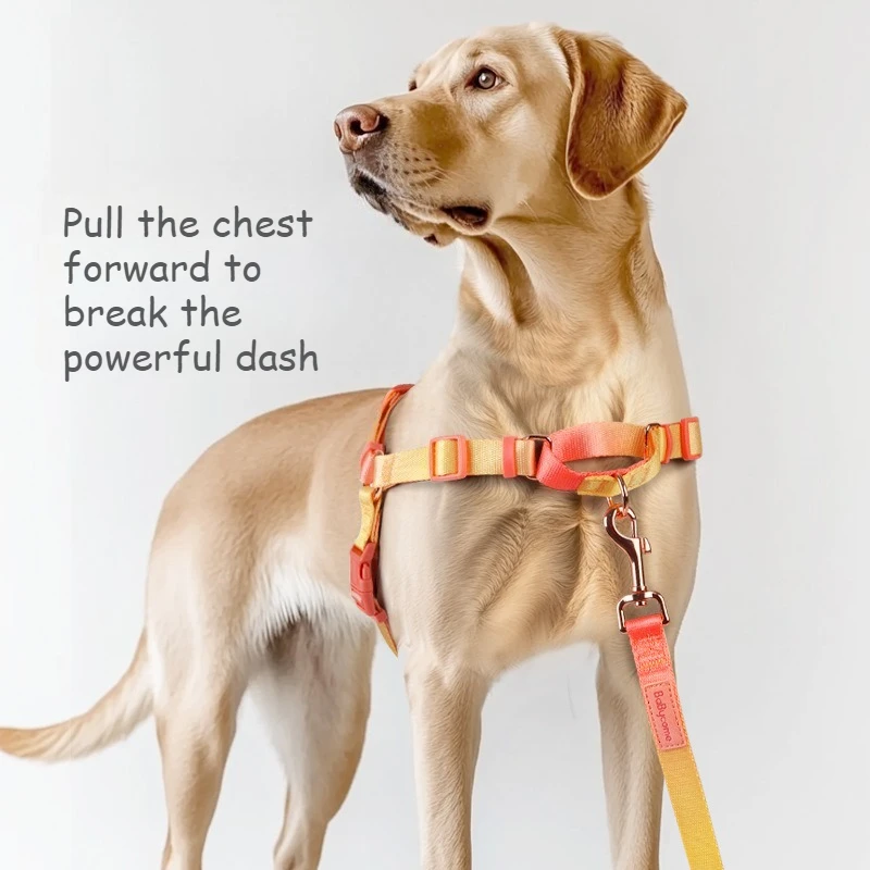 High Quality No Pull Dog Harness, Gentle No Hair Pulling Pet Vest For Walking
High Quality No Pull Dog Harness, Gentle No Hair Pulling Pet Vest For Walking