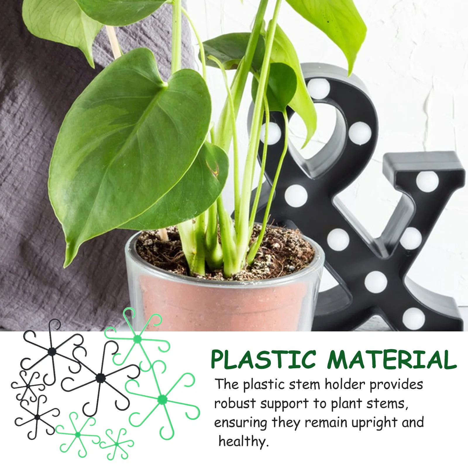 8 Pcs Plant Support Frame Stem Holders 4 Green 4 Black Sizes Sturdy Plastic Lightweight Weather Resistant Healthy Growth Prevent
8 Pcs Plant Support Frame Stem Holders 4 Green 4 Black Sizes Sturdy Plastic Lightweight Weather Resistant Healthy Growth Prevent