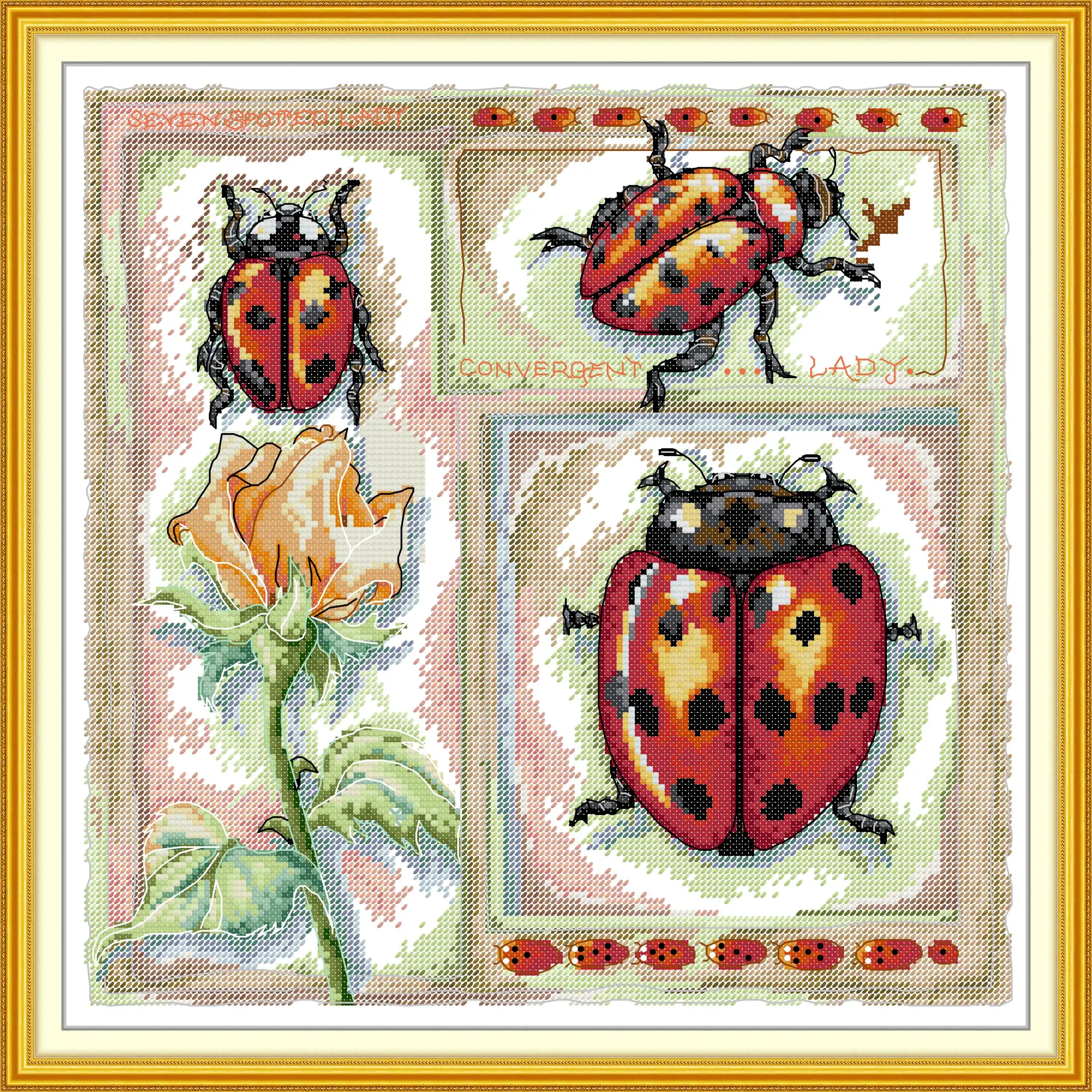 Soulgift Pre-Printed Cross Stitch Kit, Stamped Aida Fabric with DMC Threads, Embroidery Kit - Biological Illustration – Ladybird
Soulgift Pre-Printed Cross Stitch Kit, Stamped Aida Fabric with DMC Threads, Embroidery Kit - Biological Illustration – Ladybird