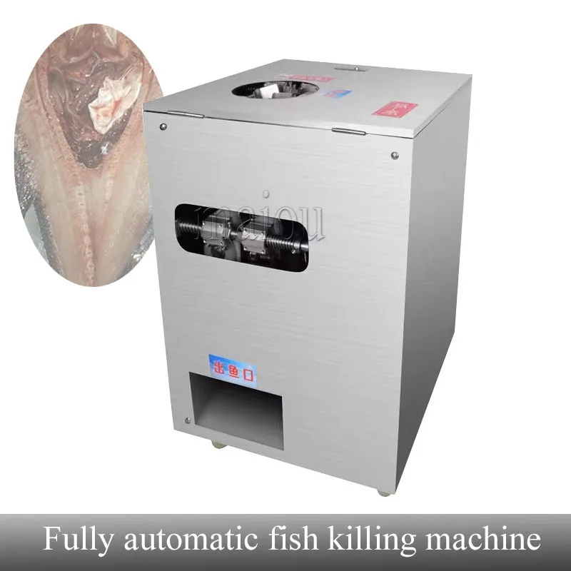 Automatic Fish Cleaning Killing Gutting Scaling Machine Price Fish Descale And Open Back Machine
Automatic Fish Cleaning Killing Gutting Scaling Machine Price Fish Descale And Open Back Machine