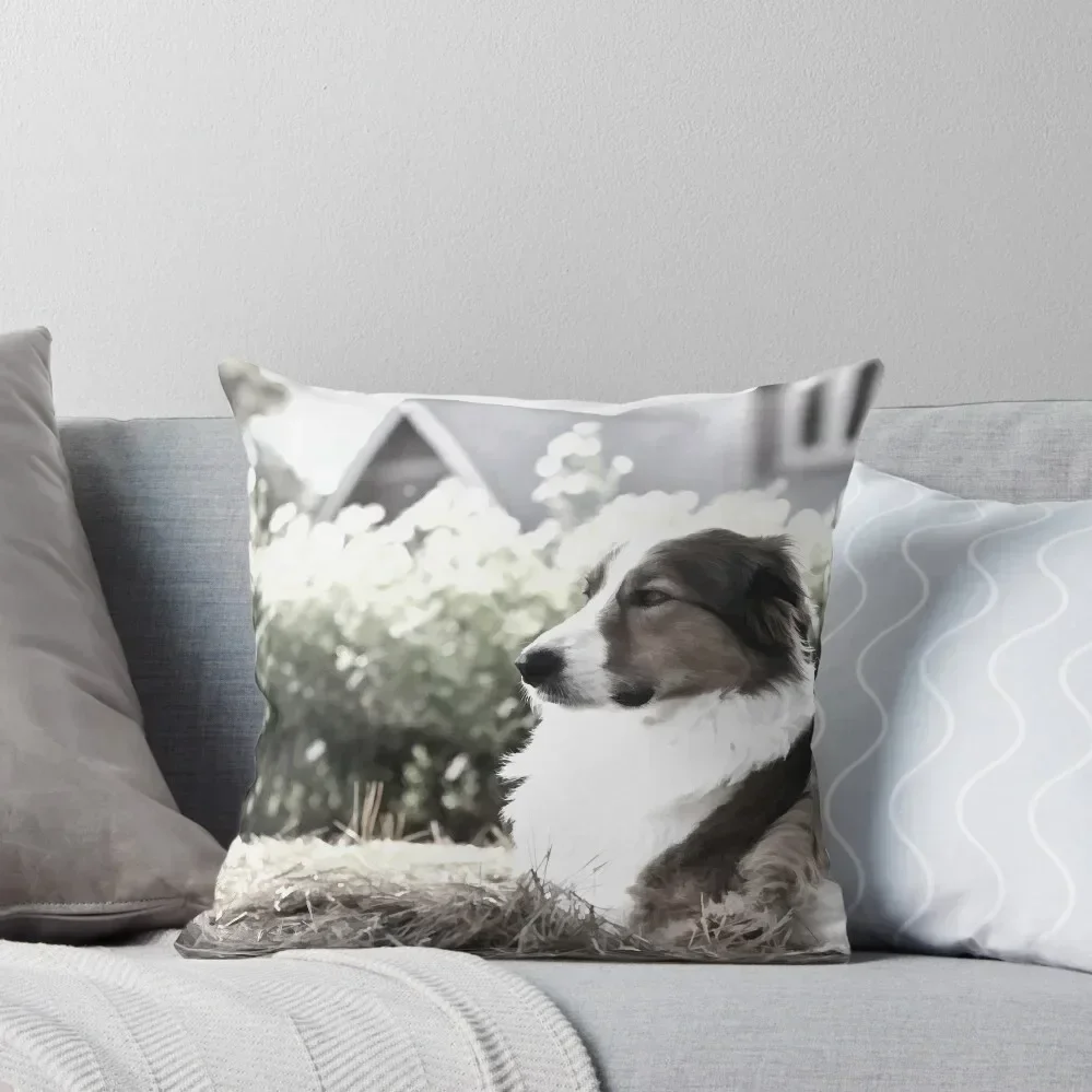 Quiet Observer Throw Pillow Sofa Pillow Cover Custom Cushion Pillowcase Cushion Cushion Child pillow
Quiet Observer Throw Pillow Sofa Pillow Cover Custom Cushion Pillowcase Cushion Cushion Child pillow