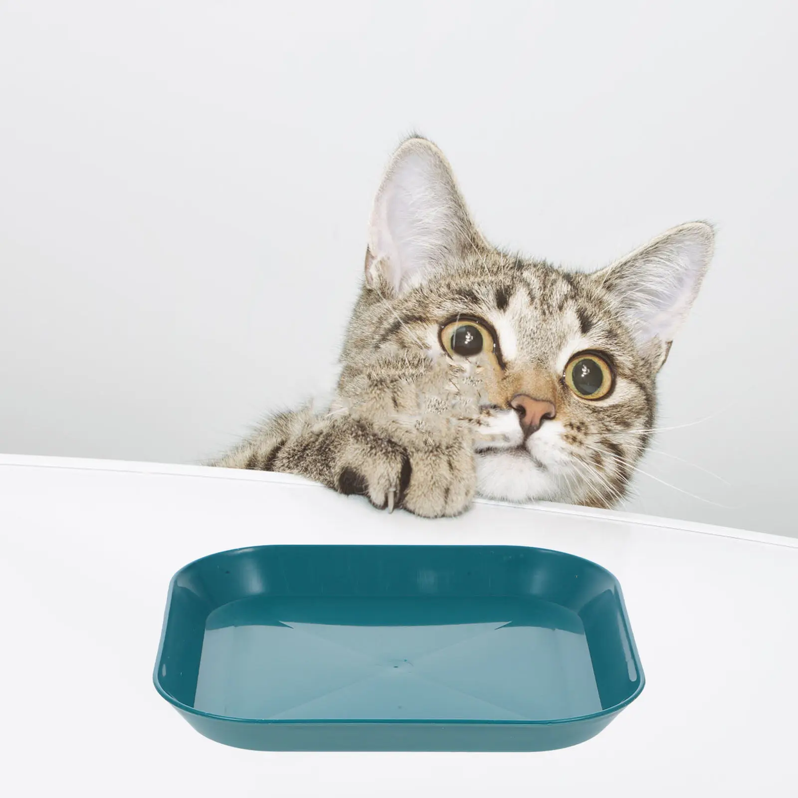 Набор из 1-го комплекта мисок для кошек: прочная миска из полипропилена с нескользящим основанием, легко моется, неглубокая кормушка, маленькая квадратная миска для корма для кошек, для домашних животных
Набор из 1-го комплекта мисок для кошек: прочная миска из полипропилена с нескользящим основанием, легко моется, неглубокая кормушка, маленькая квадратная миска для корма для кошек, для домашних животных