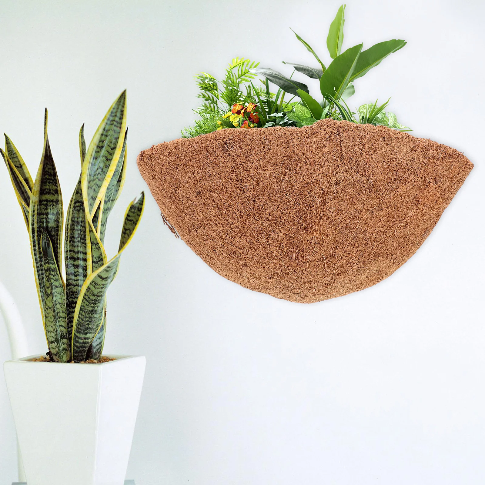 2 Pcs Coconut Palm Hanging Pot Coir Basket for Plants Replacement Liners Outdoor Flower Holder Fiber Planter Flowerpot 
2 Pcs Coconut Palm Hanging Pot Coir Basket for Plants Replacement Liners Outdoor Flower Holder Fiber Planter Flowerpot