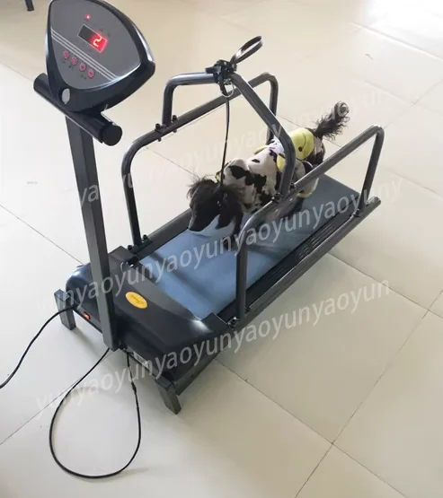 Pet Treadmill Large, Medium and Small Dog Dog Animal Training Equipment
Pet Treadmill Large, Medium and Small Dog Dog Animal Training Equipment