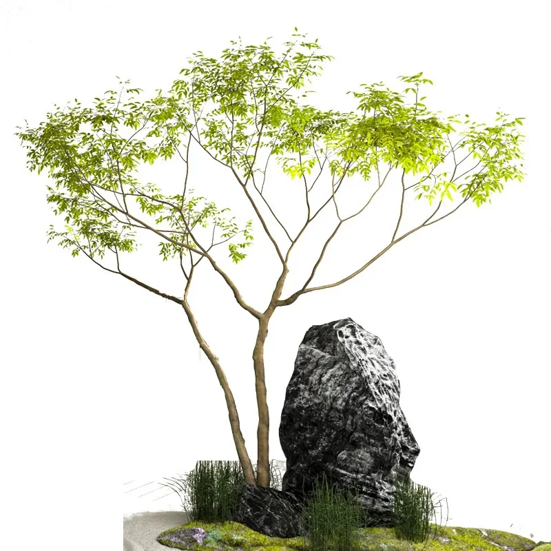 Simulation green plant landscaping villa indoor soft decoration bionic plant
Simulation green plant landscaping villa indoor soft decoration bionic plant