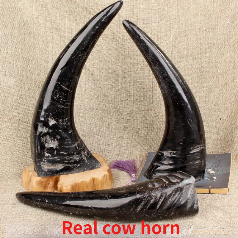 Creative horn ornaments, living room, office decorations, shop craft gifts of Caiwang City Boss Table Company home decor
Creative horn ornaments, living room, office decorations, shop craft gifts of Caiwang City Boss Table Company home decor