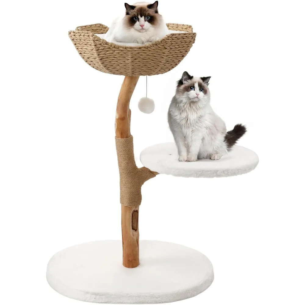Adult Tree for Larg Solid Wood Tower Indoor Tall Condo Climbing Tower with Scratching Post
Adult Tree for Larg Solid Wood Tower Indoor Tall Condo Climbing Tower with Scratching Post