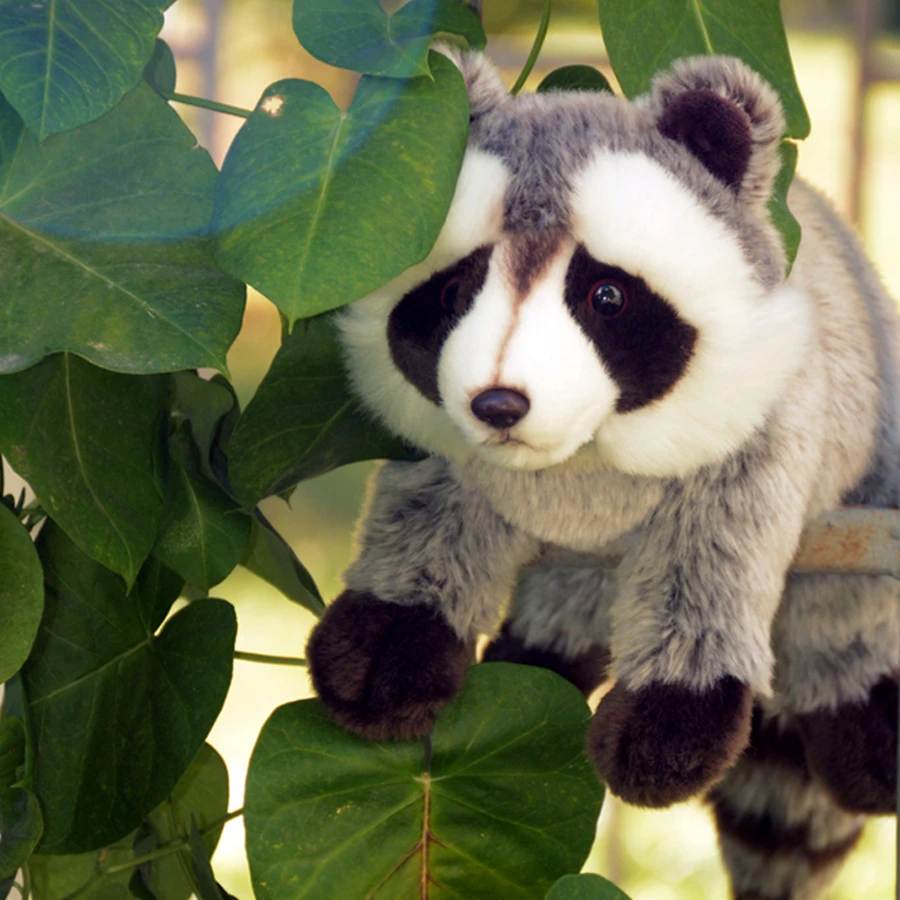 Realistic Raccoon Plush Animal Lifelike Raccoon Stuffed Toy Procyon Lotor Plushie Lesser Panda Simulation Doll Lovers
Realistic Raccoon Plush Animal Lifelike Raccoon Stuffed Toy Procyon Lotor Plushie Lesser Panda Simulation Doll Lovers