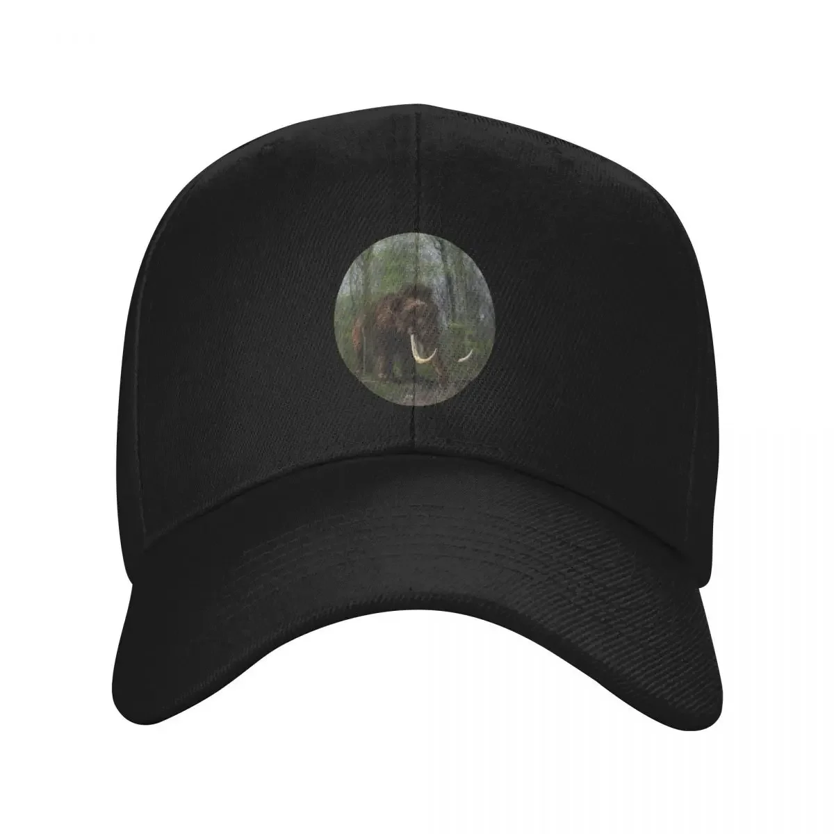 Digital Art Wild Mammoth In A Forest Baseball Cap men's big size hat Sunscreen Hip Hop Sun Hats For Women Men's
Digital Art Wild Mammoth In A Forest Baseball Cap men's big size hat Sunscreen Hip Hop Sun Hats For Women Men's