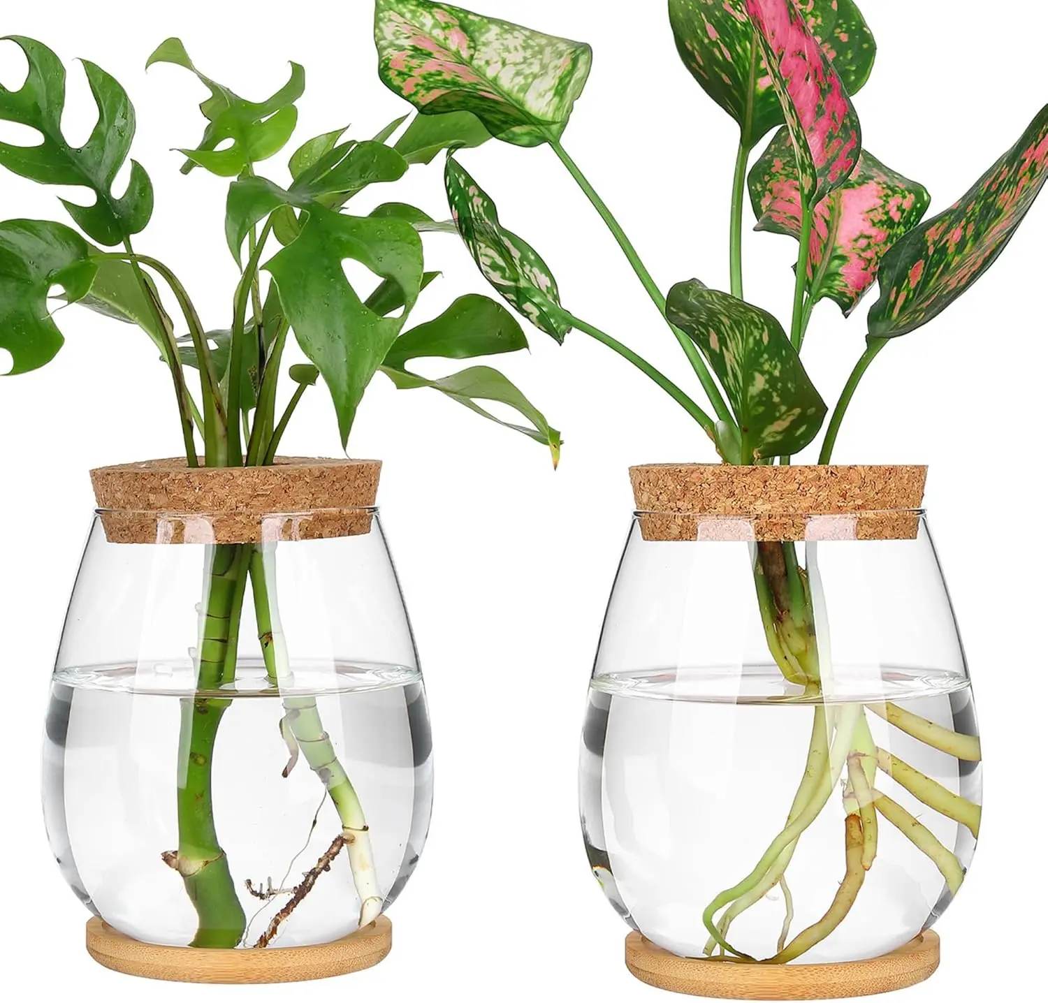 2 Pack Glass Propagation Vases for Hydroponic Plants, Tabletop Terrarium, Home Decor Gift for Plant Lovers
2 Pack Glass Propagation Vases for Hydroponic Plants, Tabletop Terrarium, Home Decor Gift for Plant Lovers