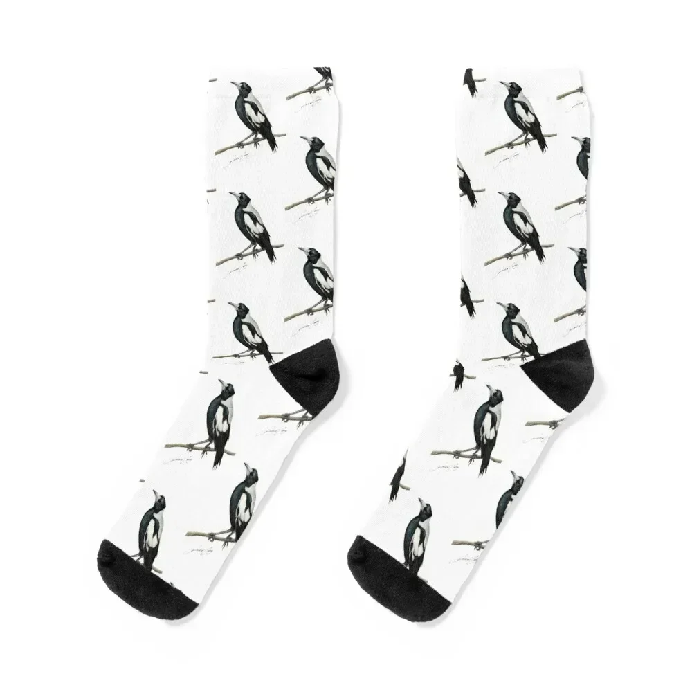 Magpie , Australian bird art with artists signature Socks warm winter designer moving stockings FASHION Girl'S Socks Men's
Magpie , Australian bird art with artists signature Socks warm winter designer moving stockings FASHION Girl'S Socks Men's