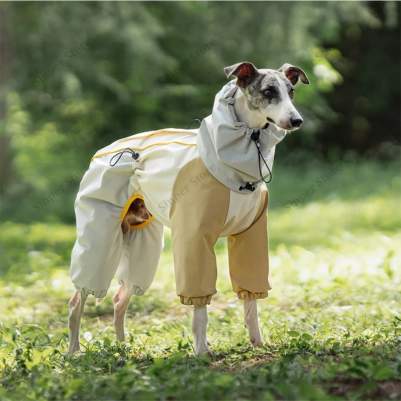 Dog Raincoat Waterproof Dog Rain Jacket with Hood Rain Coat with Leash Hole Reflective Strap for Small Medium Dogs Lightweight
Dog Raincoat Waterproof Dog Rain Jacket with Hood Rain Coat with Leash Hole Reflective Strap for Small Medium Dogs Lightweight