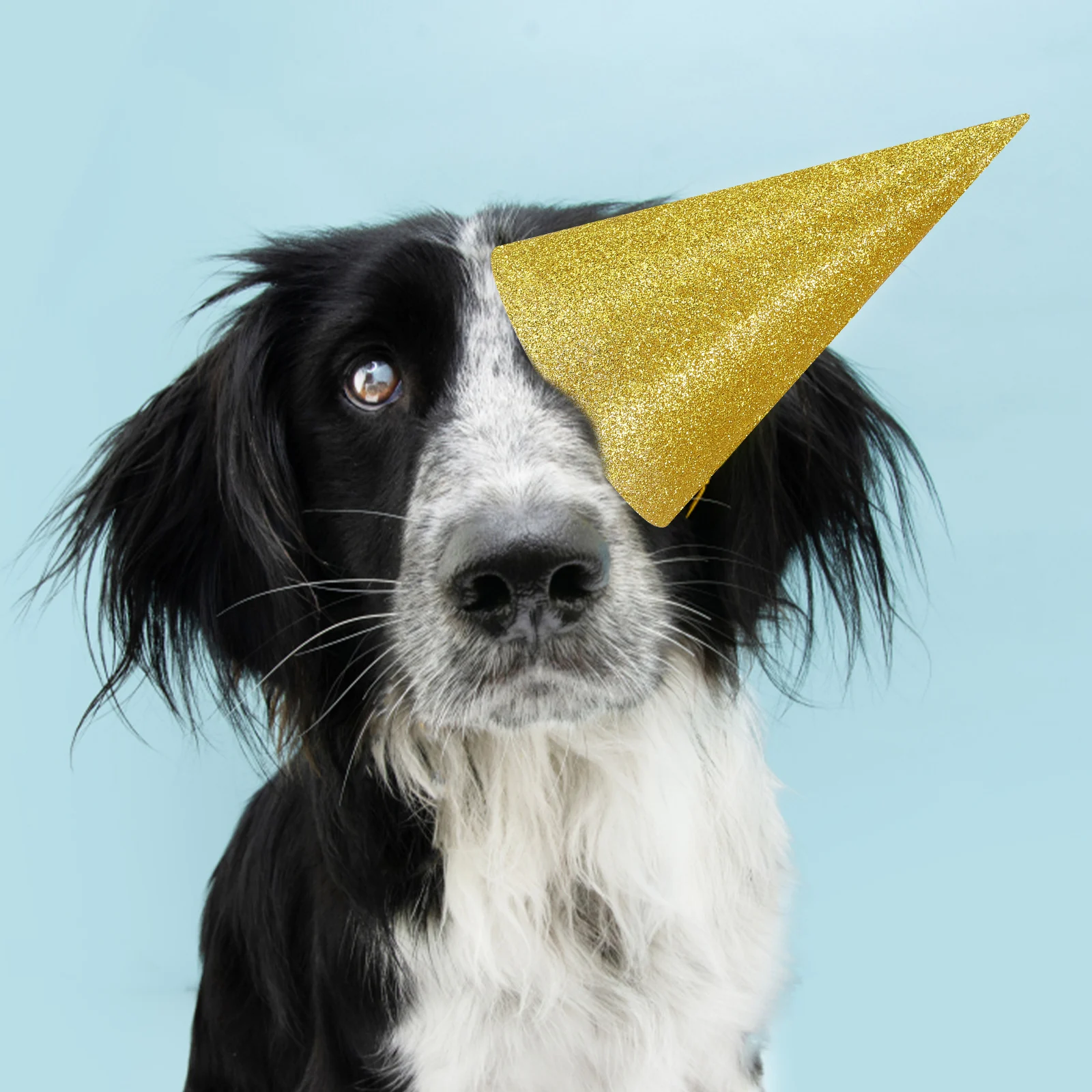 12pcs Golden Birthday Hats for Kids Adults Glitter Cone Party Celebration Holiday Family Fun Special Occasions
12pcs Golden Birthday Hats for Kids Adults Glitter Cone Party Celebration Holiday Family Fun Special Occasions