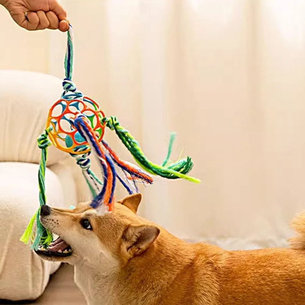 Compact Dog Sound Ball Toy Colorful Interesting Pet Decompression Toy For Indoors Outdoors
Compact Dog Sound Ball Toy Colorful Interesting Pet Decompression Toy For Indoors Outdoors