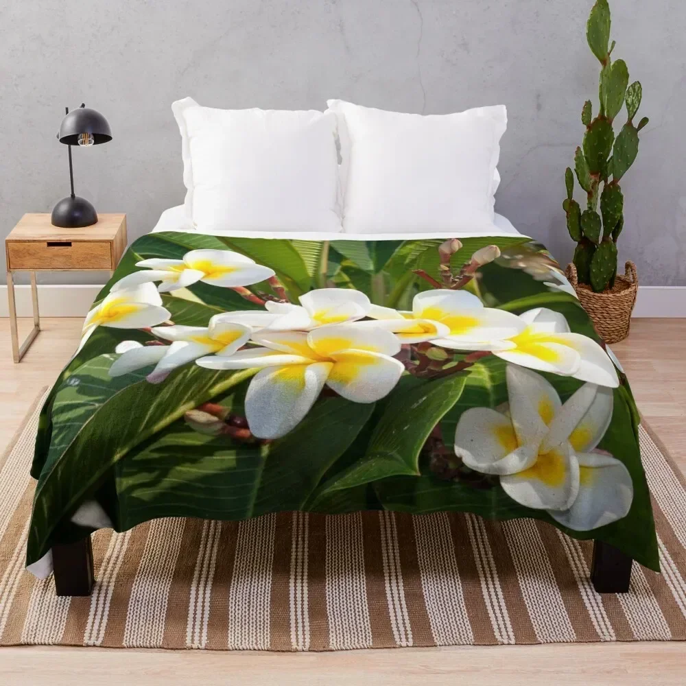Franjipani Throw Blanket Warm Accent Blanket for Living Room Decoration
Franjipani Throw Blanket Warm Accent Blanket for Living Room Decoration