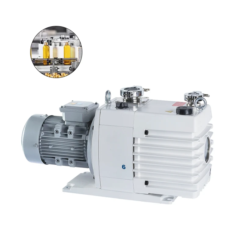 Industrial Rotary Vane Vacuum Pump RVS-6 7.2L/S Speed KF25 Flange for Vacuum System Freezer Drying,OEM Supplier
Industrial Rotary Vane Vacuum Pump RVS-6 7.2L/S Speed KF25 Flange for Vacuum System Freezer Drying,OEM Supplier