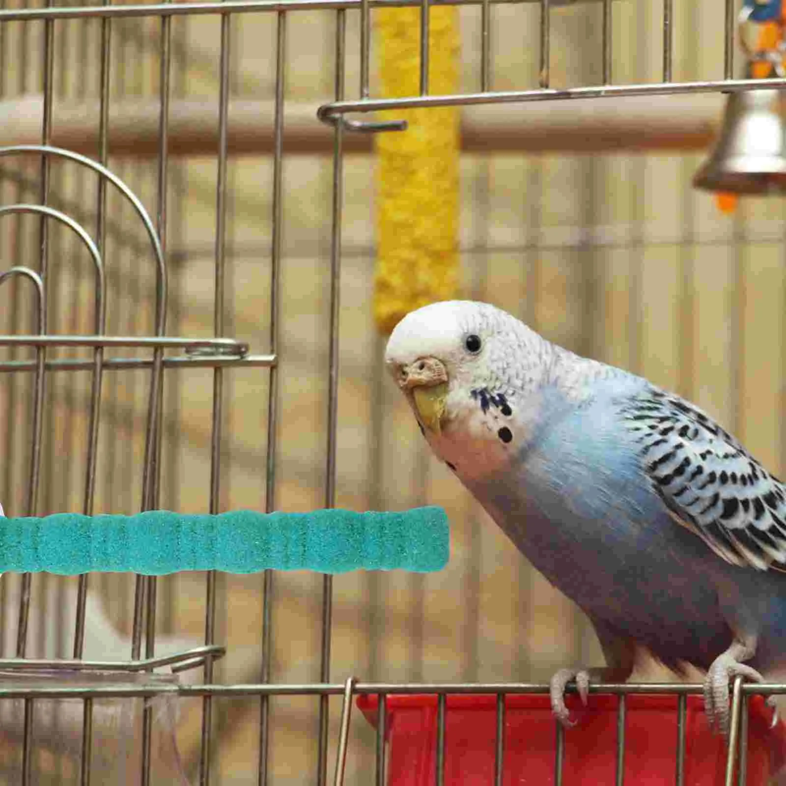 Natural Wood Parrot Perch 14cm Claw Grinding Stick Bird Toy Cage Standing Rod Sturdy Material Safe Smooth Ideal Play
Natural Wood Parrot Perch 14cm Claw Grinding Stick Bird Toy Cage Standing Rod Sturdy Material Safe Smooth Ideal Play