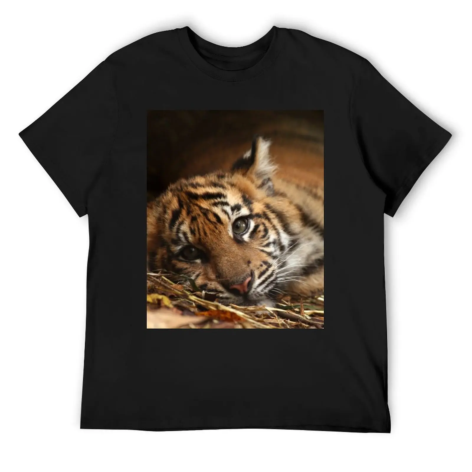 Baby Tiger - модель футболки корейская мода аниме рубашка роскошная футболка аниме одежда мужская футболка
Baby Tiger - модель футболки корейская мода аниме рубашка роскошная футболка аниме одежда мужская футболка
