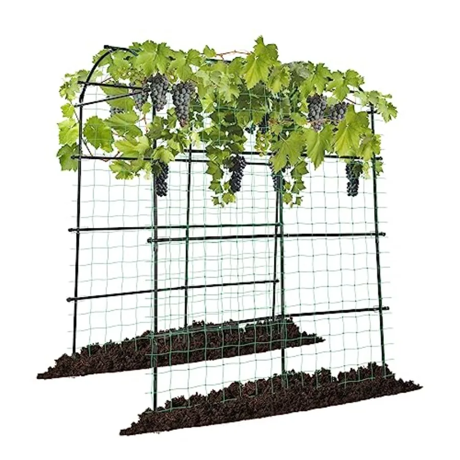 7Ft. Arch Trellis for Climbing Plants 7 x 6 x 7ft Tall Metal Tunnel Trellis Lightweight Metal Plant Support Archway with Nylon
7Ft. Arch Trellis for Climbing Plants 7 x 6 x 7ft Tall Metal Tunnel Trellis Lightweight Metal Plant Support Archway with Nylon