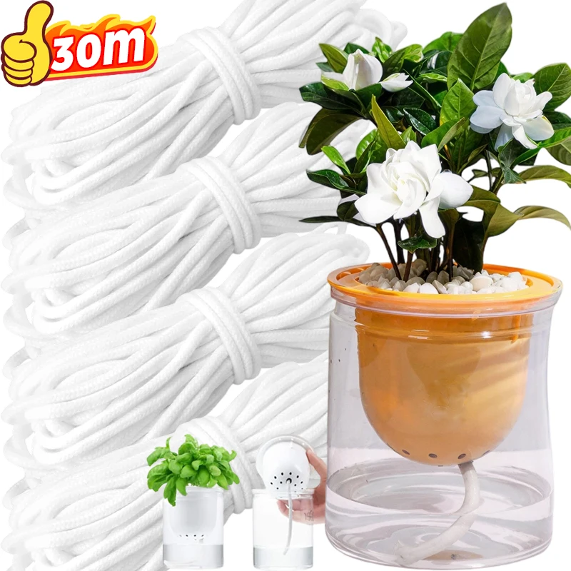 Самополивающийся шнур-сигвейк для ленивого автоматического капельного орошения, хлопковые впитывающие веревки для цветочных горшков, садовые принадлежности
Самополивающийся шнур-сигвейк для ленивого автоматического капельного орошения, хлопковые впитывающие веревки для цветочных горшков, садовые принадлежности