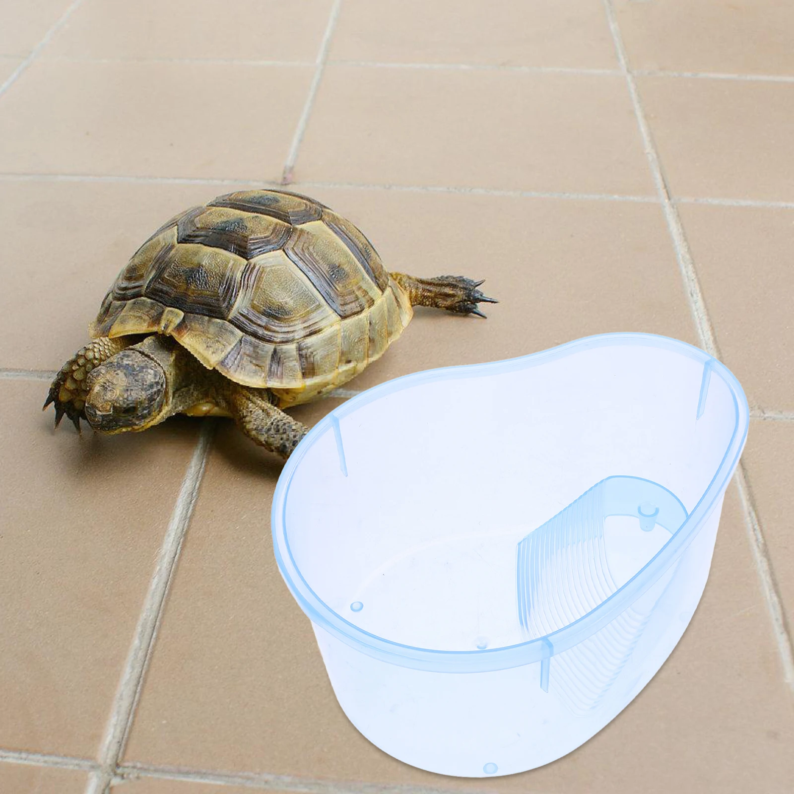 Tortoise House Turtle Feeding Box Small Tank Aquarium Pet Breeding High Grade Non Toxic Resistant Docking Slope
Tortoise House Turtle Feeding Box Small Tank Aquarium Pet Breeding High Grade Non Toxic Resistant Docking Slope