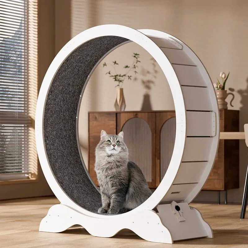 2025 New Cat Treadmill Roller Cat Scratching Board New Upgraded Solid Wood Cat Roller Multifunctional Pet Toy Multi-color
2025 New Cat Treadmill Roller Cat Scratching Board New Upgraded Solid Wood Cat Roller Multifunctional Pet Toy Multi-color