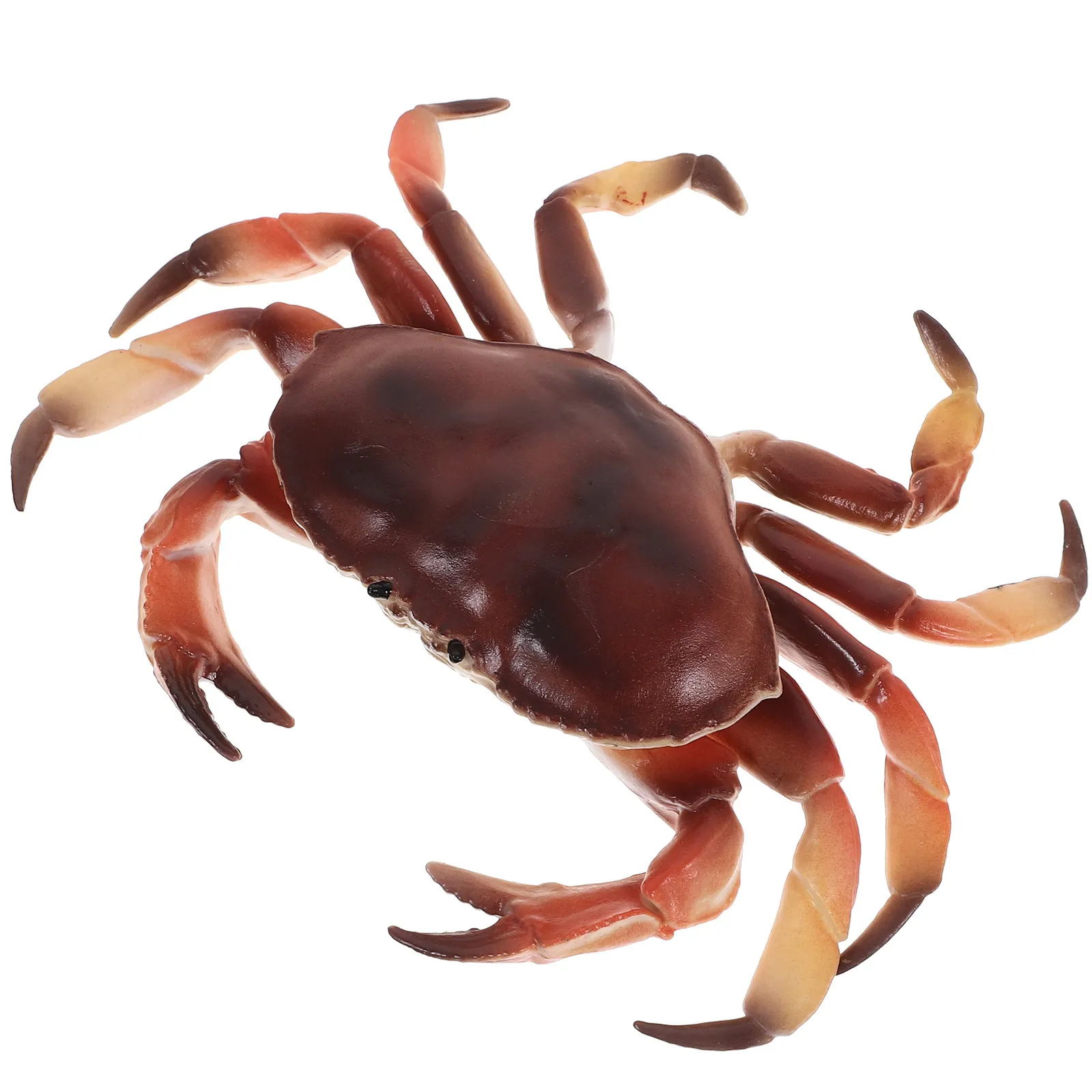 Plastic Simulation Crab Realistic Animal Sculpture for Home Garden Room Nursery Decoration Educational Use Simulation Crab Model
Plastic Simulation Crab Realistic Animal Sculpture for Home Garden Room Nursery Decoration Educational Use Simulation Crab Model