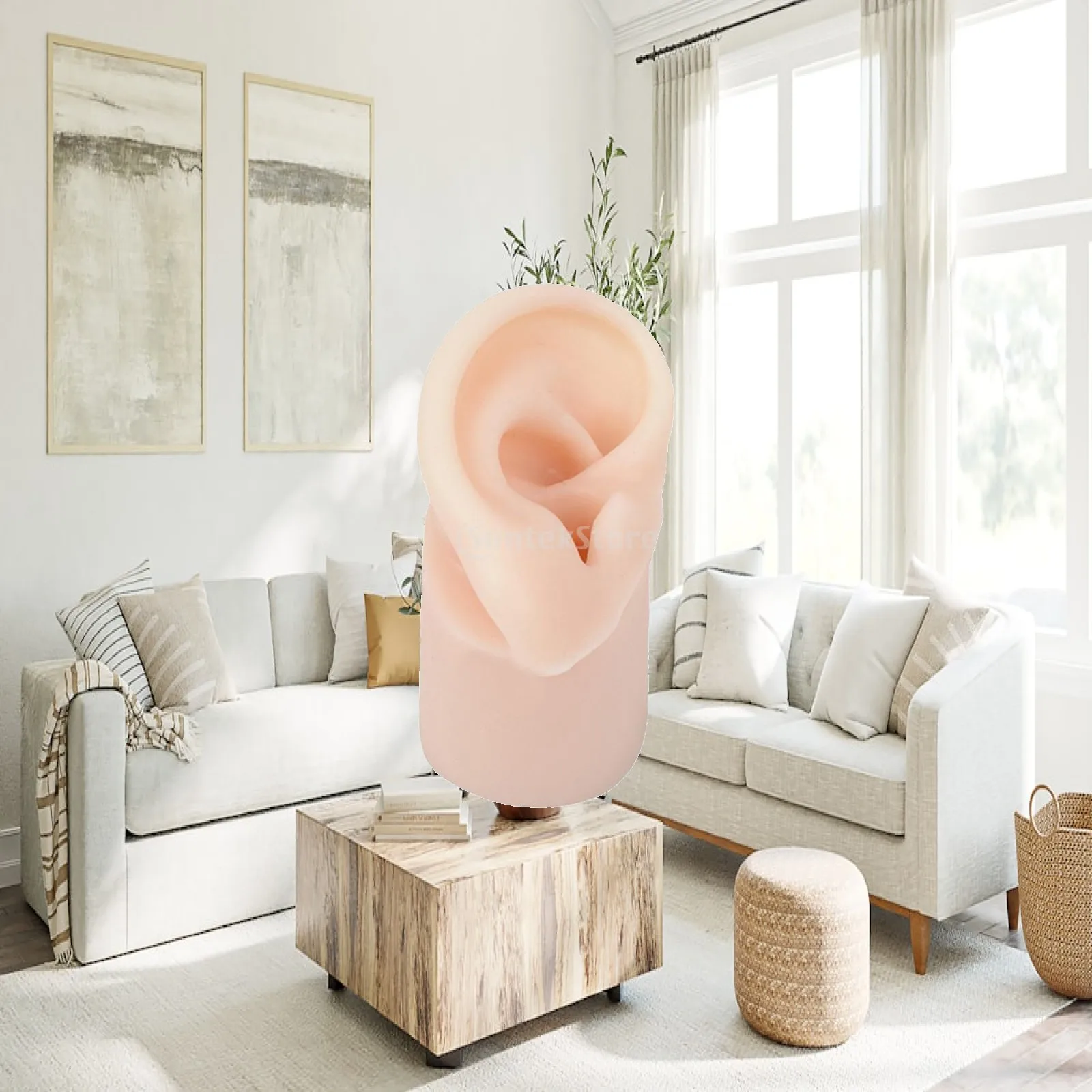 Silicone Ear Model, Teaching Tools Impression Taking Practice Training Long Ear Canal Artificial Real Ear Model Display Props
Silicone Ear Model, Teaching Tools Impression Taking Practice Training Long Ear Canal Artificial Real Ear Model Display Props