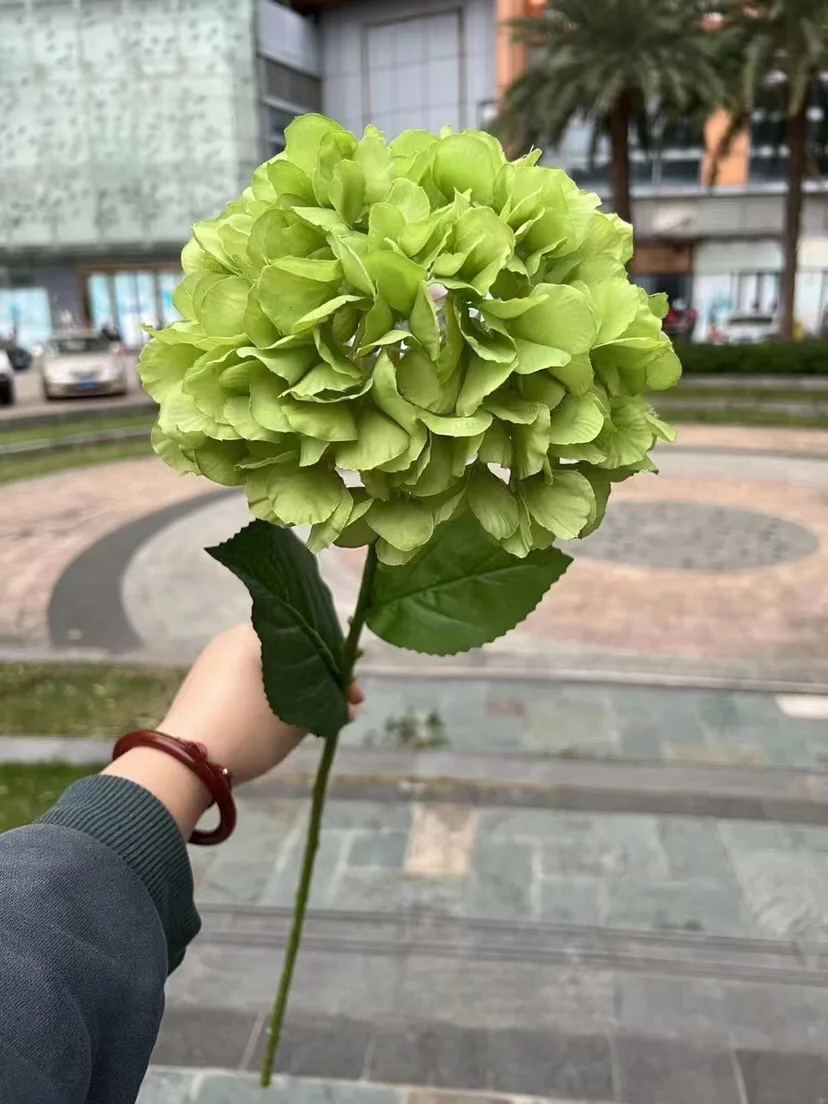 Весенне-летние белые искусственные цветы для свадебной сцены, декоративные цветы для столов, праздничные шелковые цветы для свадебных торжеств
Весенне-летние белые искусственные цветы для свадебной сцены, декоративные цветы для столов, праздничные шелковые цветы для свадебных торжеств