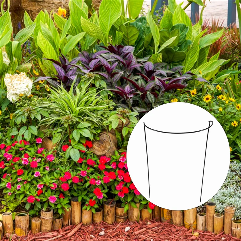 LLCS-4 Pcs Plant Support Stakes Ring Cage Metal Garden Plant Stake Green Half Round Plant Support Ring Large Plant Supports
LLCS-4 Pcs Plant Support Stakes Ring Cage Metal Garden Plant Stake Green Half Round Plant Support Ring Large Plant Supports