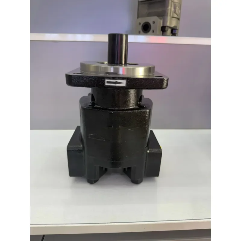 PGP350 Hydraulic Pump Backhoe Loader 580M 580L 570LXT 570MXT Piston Pump 257953A1 47362917 Excavator Gear Pump 3239110260
PGP350 Hydraulic Pump Backhoe Loader 580M 580L 570LXT 570MXT Piston Pump 257953A1 47362917 Excavator Gear Pump 3239110260
