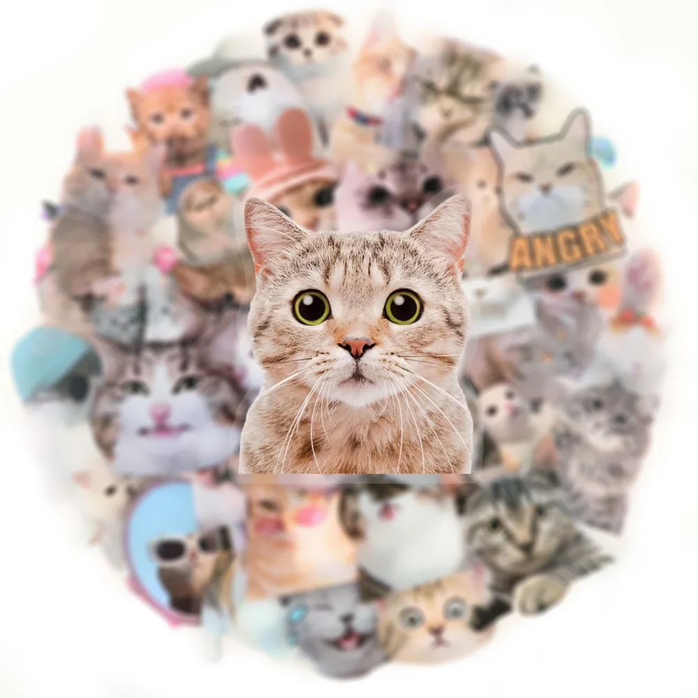 10/30/50PCS Transparent Stickers Cute Car Meme Graffiti Funny Animal Decoration Fridge Luggage Laptop Guitar Car Bike Decals Toy
10/30/50PCS Transparent Stickers Cute Car Meme Graffiti Funny Animal Decoration Fridge Luggage Laptop Guitar Car Bike Decals Toy