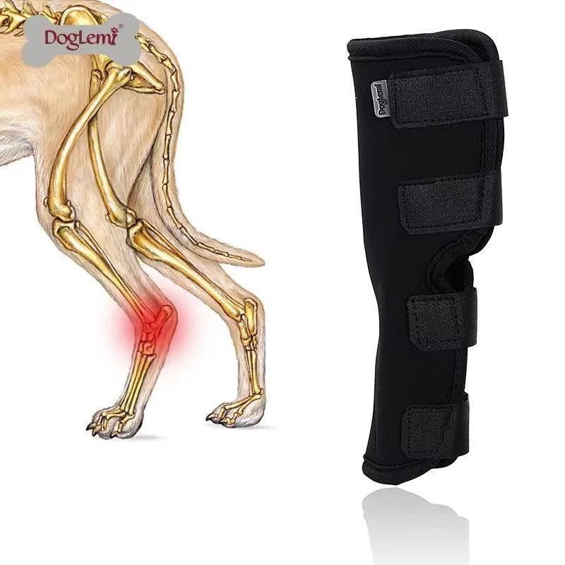 Dog Knee Brace Leg Support Wrap for Injury Recovery Arthritis Surgery Anti Lick Splint Fracture Fixation Pet Care
Dog Knee Brace Leg Support Wrap for Injury Recovery Arthritis Surgery Anti Lick Splint Fracture Fixation Pet Care