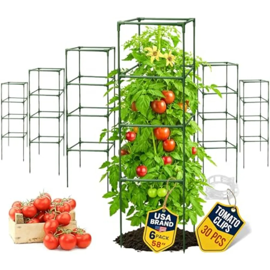 Tomato Cage Square - Large Galvanized Steel Trellis Stakes for Vegetables and Climbing Plants - Black Tall Tomato Cages for Gar
Tomato Cage Square - Large Galvanized Steel Trellis Stakes for Vegetables and Climbing Plants - Black Tall Tomato Cages for Gar