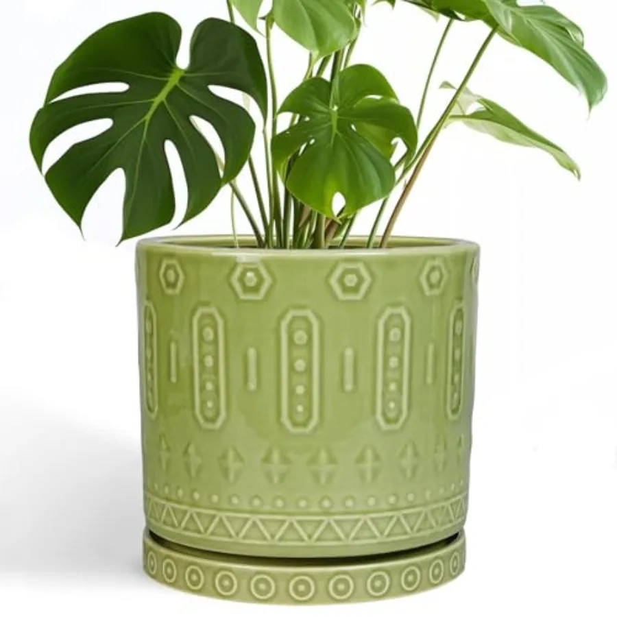 Ceramic Pot for Plants - 10 Inch Indoor Plant Pots with Drainage Holes and Saucer Boho Round Planter Outdoor Decorative Large P
Ceramic Pot for Plants - 10 Inch Indoor Plant Pots with Drainage Holes and Saucer Boho Round Planter Outdoor Decorative Large P