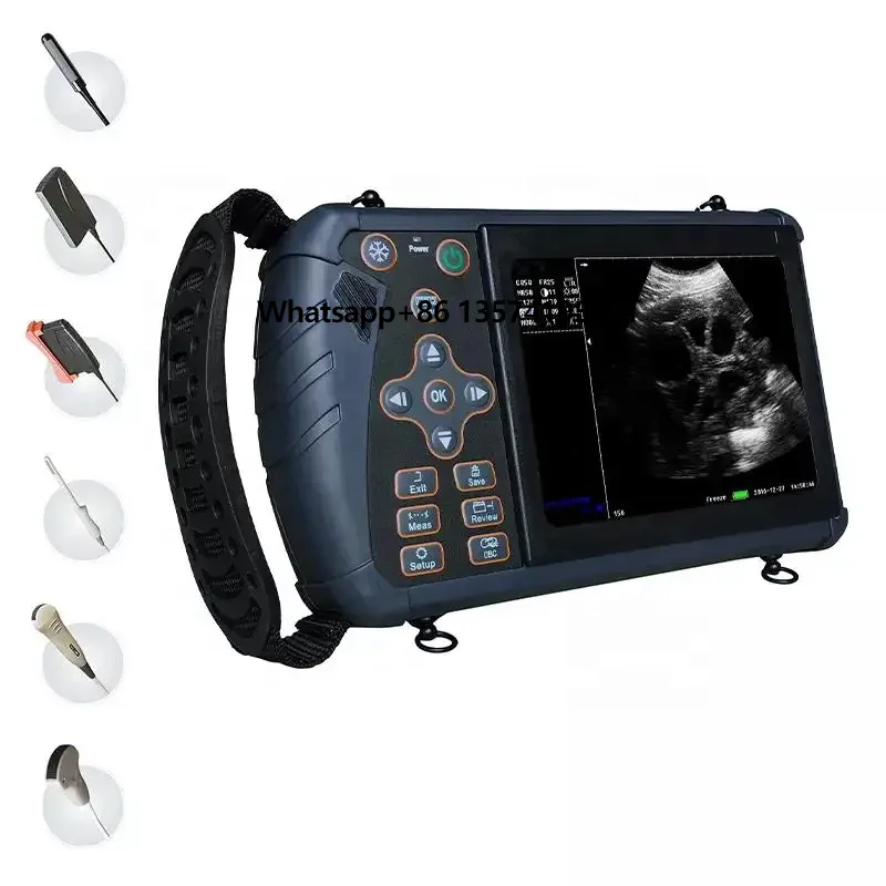 EUR VET Handheld Veterinary Ultrasound Machine Hot Sale Portable Equipment for Large Animal Diagnosis Reusable for Horse Use
EUR VET Handheld Veterinary Ultrasound Machine Hot Sale Portable Equipment for Large Animal Diagnosis Reusable for Horse Use